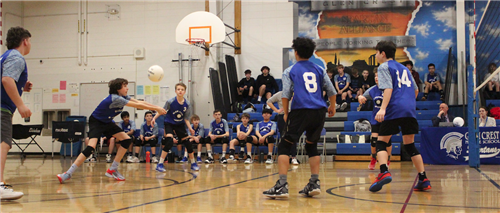 Boys playing volleyball